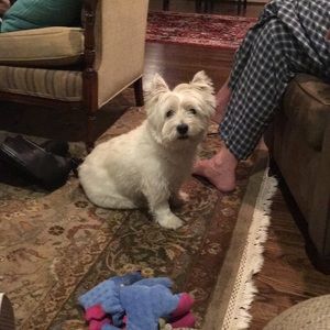 Meet your Posher, Julian